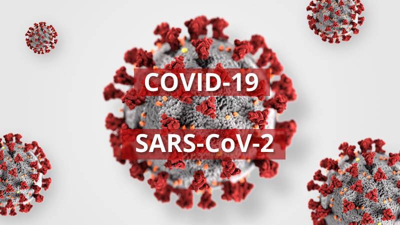 sars_cov_2_6