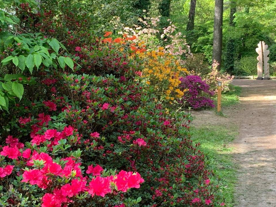 Spacer po Arboretum SGGW w Rogowie. Zobacz zdjęcia