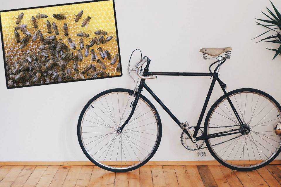 abicycle-789648_1280-kopia